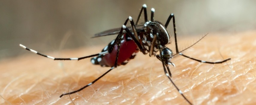itapolis-confirma-terceira-morte-por-dengue-neste-ano