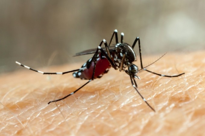Itpolis confirma terceira morte por dengue neste ano