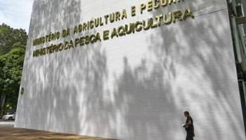 gripe-aviaria-brasil-entra-em-estado-de-emergencia-zoossanitaria