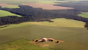 prazo-para-o-imposto-territorial-rural--itr-vai-ate-29-de-setembro