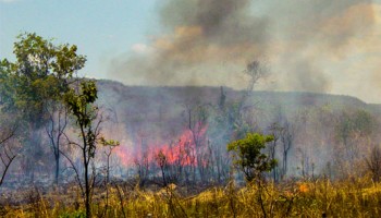 altas-temperaturas-defesa-civil-alerta-para-risco-de-incendio