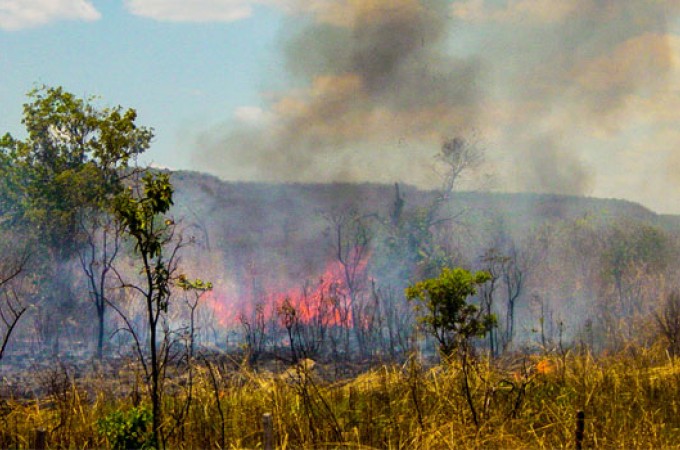 Altas Temperaturas: Defesa Civil alerta para risco de inc�ndio 
