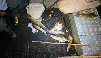 pm-ambiental-flagra-pesca-irregular-em-tabatinga