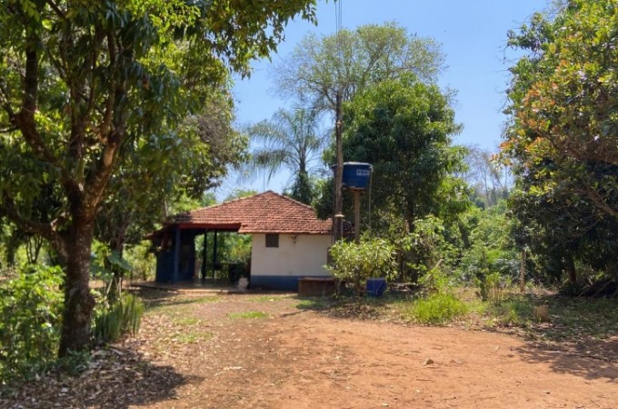 PM Ambiental embargou rancho s margens do rio So Loureno