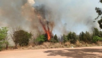incendio-destroi-mais-de-50-mil-metros-quadrados-de-vegetacao-nativa
