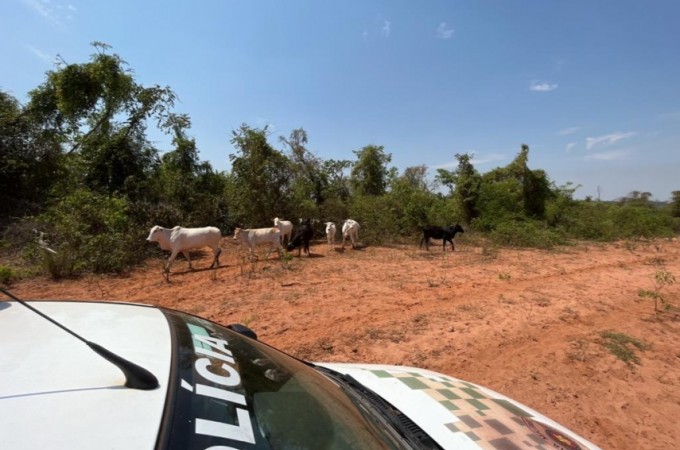 Fazenda com degradao de vegetao  multada em R$ 4 milhes