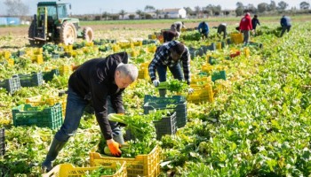 emprego-setor-agropecuario-paulista-se-destacou-em-agosto-de-2023