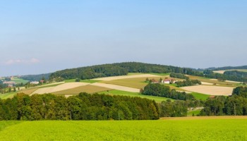 sindicato-rural-divulgou-cursos-gratuitos-para-mes-de-outubro