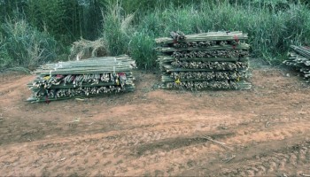 pm-ambiental-de-ibitinga-prende-4-por-degradacao-em-santa-ernestina