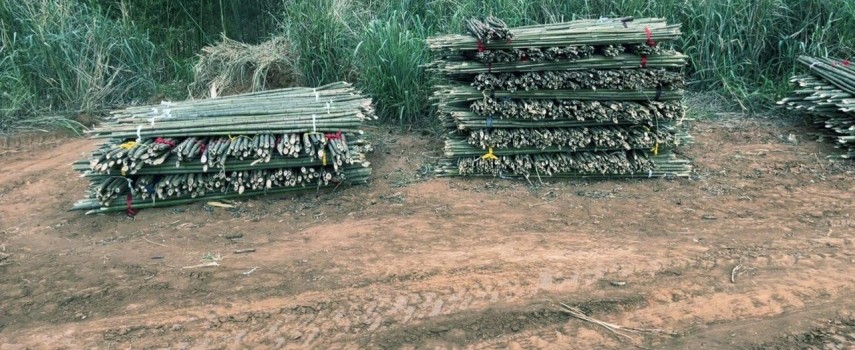 pm-ambiental-de-ibitinga-prende-4-por-degradacao-em-santa-ernestina