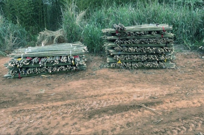 PM Ambiental de Ibitinga prende 4 por degradao em Santa Ernestina