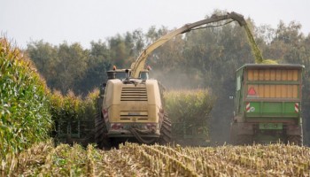 agricultura-organica-sente-o-peso-do-calor-mais-severamente
