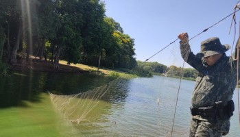 pm-ambiental-flagra-pescador-em-epoca-de-piracema-no-rio-tiete