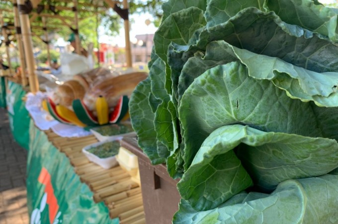 Aumenta o Poder de compra de fertilizantes pelo agricultor 