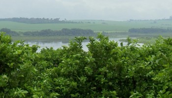 mudancas-no-clima-causam-prejuizo-e-atrapalham-planejamento-no-agro