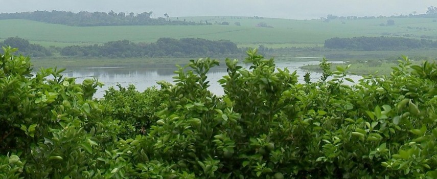 mudancas-no-clima-causam-prejuizo-e-atrapalham-planejamento-no-agro