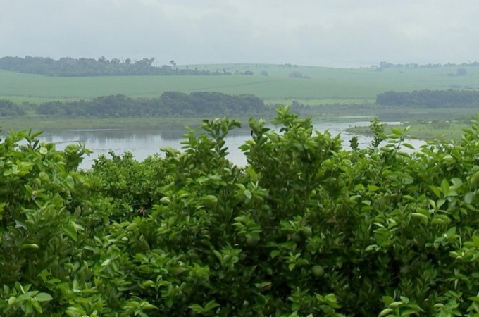 Mudanas no clima causam prejuzo e atrapalham planejamento no agro