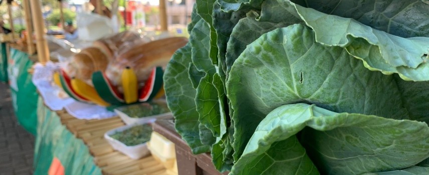 feira-do-produtor-rural-oferece-produtos-da-agricultura-familiar