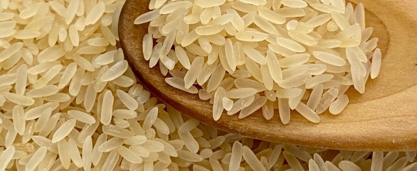 importacao-de-arroz-nao-derrubara-preco-segundo-secretario-da-mapa