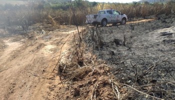 pm-ambiental-de-ibitinga-multou-fazendas-de-fernando-prestes