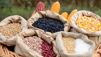 faesp-discute-politica-agricola-e-custo-de-producao-de-graos