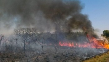 interior-de-sp-volta-a-ter-situacao-de-emergencia-para-queimadas