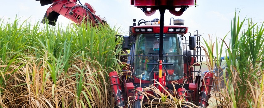agropecuaria-numero-de-admissoes-foi-maior-que-demissoes