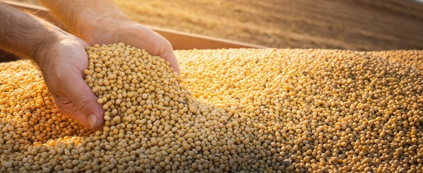 estado-de-sp-preve-alta-de-20-na-producao-de-graos
