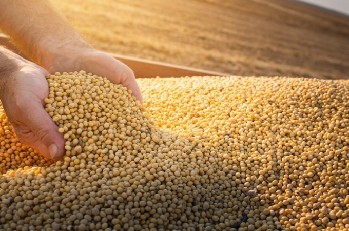 Estado de SP prev alta de 20% na produo de gros