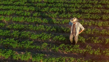 faesp-critica-reducao-de-imposto-e-propoe-politicas-para-fortalecer