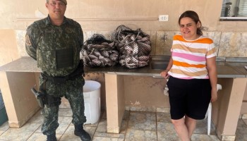 pm-ambiental-de-ibitinga-apreende-e-doa-70-kg-peixes