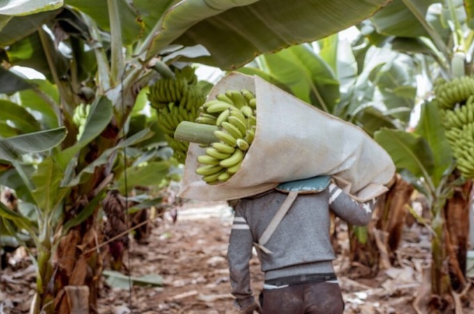 FAESP divulga levantamento de postos de trabalho no agroneg�cio 