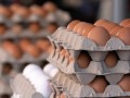 Ovos e tomate tiveram as maiores valorizaes de preos