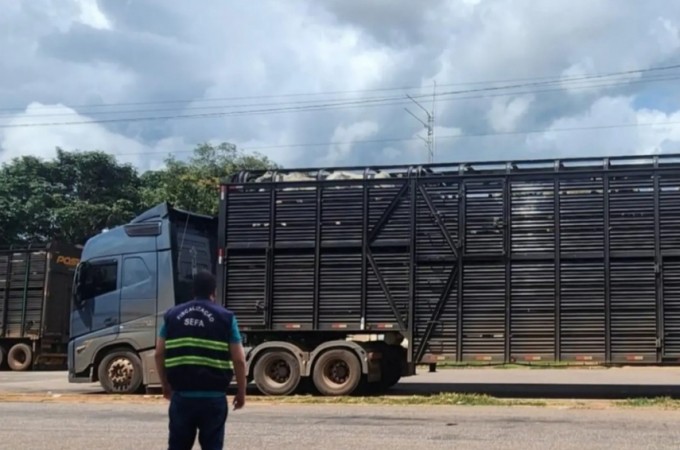 Secretaria da Fazenda apreendeu 240 bovinos que viriam pra Ibitinga