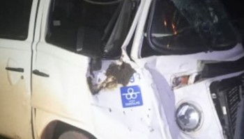 kombi-colidiu-bufalo-em-rodovia-de-ibitinga
