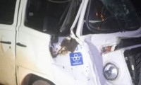 Kombi colidiu bfalo em rodovia de Ibitinga