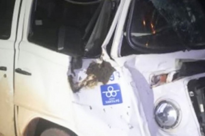 Kombi colidiu bfalo em rodovia de Ibitinga
