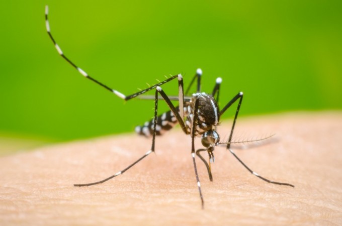 Dengue: Ibitinga saltou para 4,4 mil casos confirmados e 4 mortes