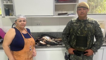 pm-ambiental-de-ibitinga-apreendeu-motor-barco-e-22-kg-de-peixes