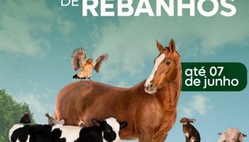 atualizacao-do-rebanho-tem-prazo-ate-07-de-junho