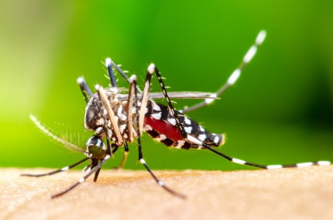 Dengue: Ibitinga registrou o 5� �bito e saltou pra 4,6 mil casos 