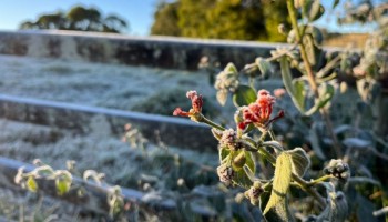 onda-de-frio-ibitinga-registrou--2-graus-menor-temperatura-do-ano