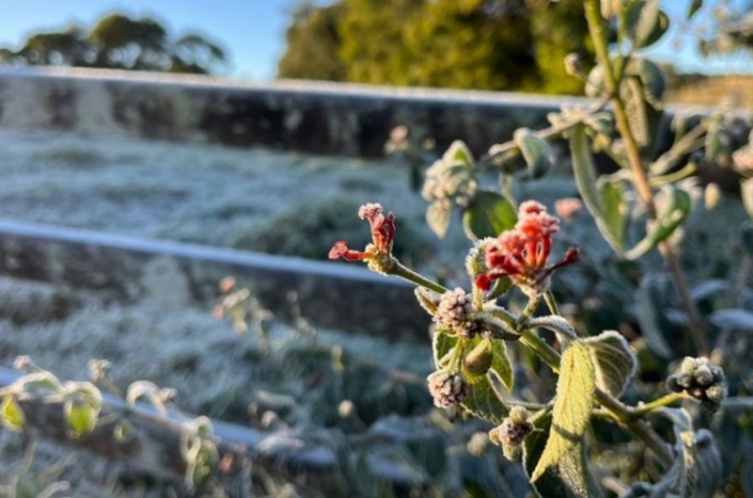 Onda de frio: Ibitinga registrou  2 graus; menor temperatura do ano