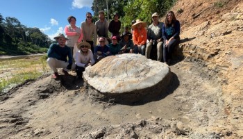 pesquisador-de-ibitinga-integra-equipe-que-achou-fossil-gigante