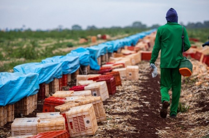CNA analisa dados de empregos formais da agropecuria em junho