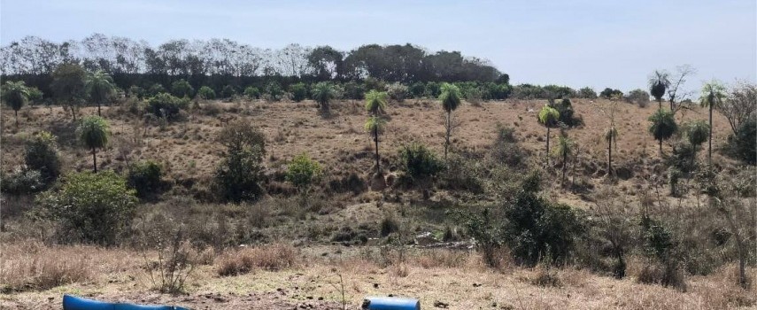 pm-ambiental-aplica-multa-de-rs-1-milhao-em-guaimbe-sp