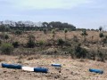 PM Ambiental aplica multa de R$ 1 milho em Guaimb-SP