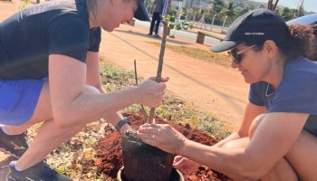 prefeitura-de-ibitinga-realiza-plantio-de-95-mudas-de-arvores