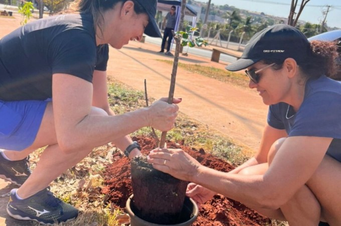 Prefeitura de Ibitinga realiza plantio de 95 mudas de rvores