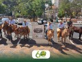 Sindicato Rural apoia a 5 Cavalgada da F, com destino ao Santurio
